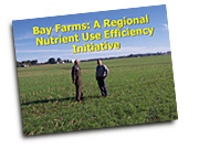 Bay Farms